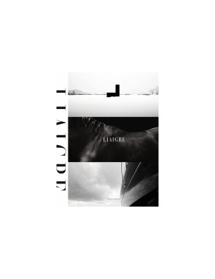 Liaigre: 12 Projects 2