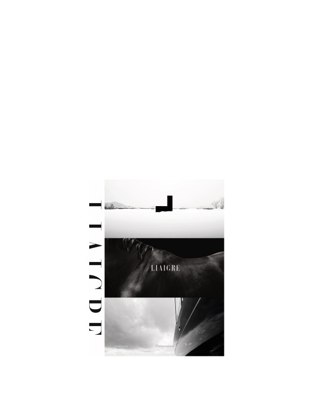 copy of Liaigre: 12 Projects